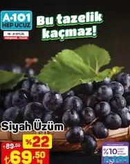 SİYAH ÜZÜM KG SİYAH ÜZÜM KG